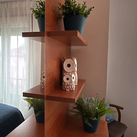 Alicia Apartment *